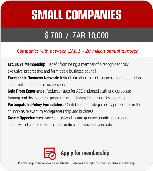AEC-packages-Small-Companies